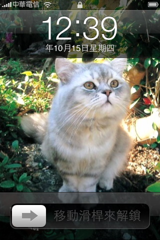 有1,000张可爱猫咪照片的「猫咪时钟」iPhone App